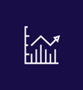 MS Icon revenue