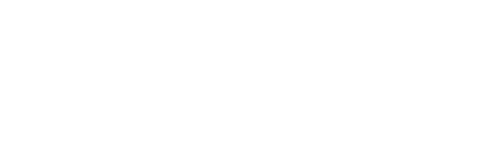 logo-barnes-ms-all white